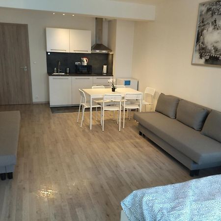 Brand New Studio Apartment #24 In Elite Residence With Free Secure Parking In The Center プラハ エクステリア 写真